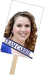 10 x fan waver 10 x fan waver