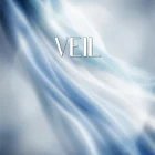 VEIL